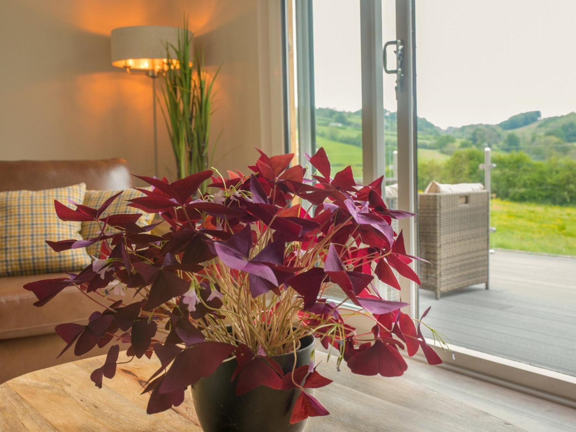 Barn Owl Lodge-Qu7487 Highgate  المظهر الخارجي الصورة